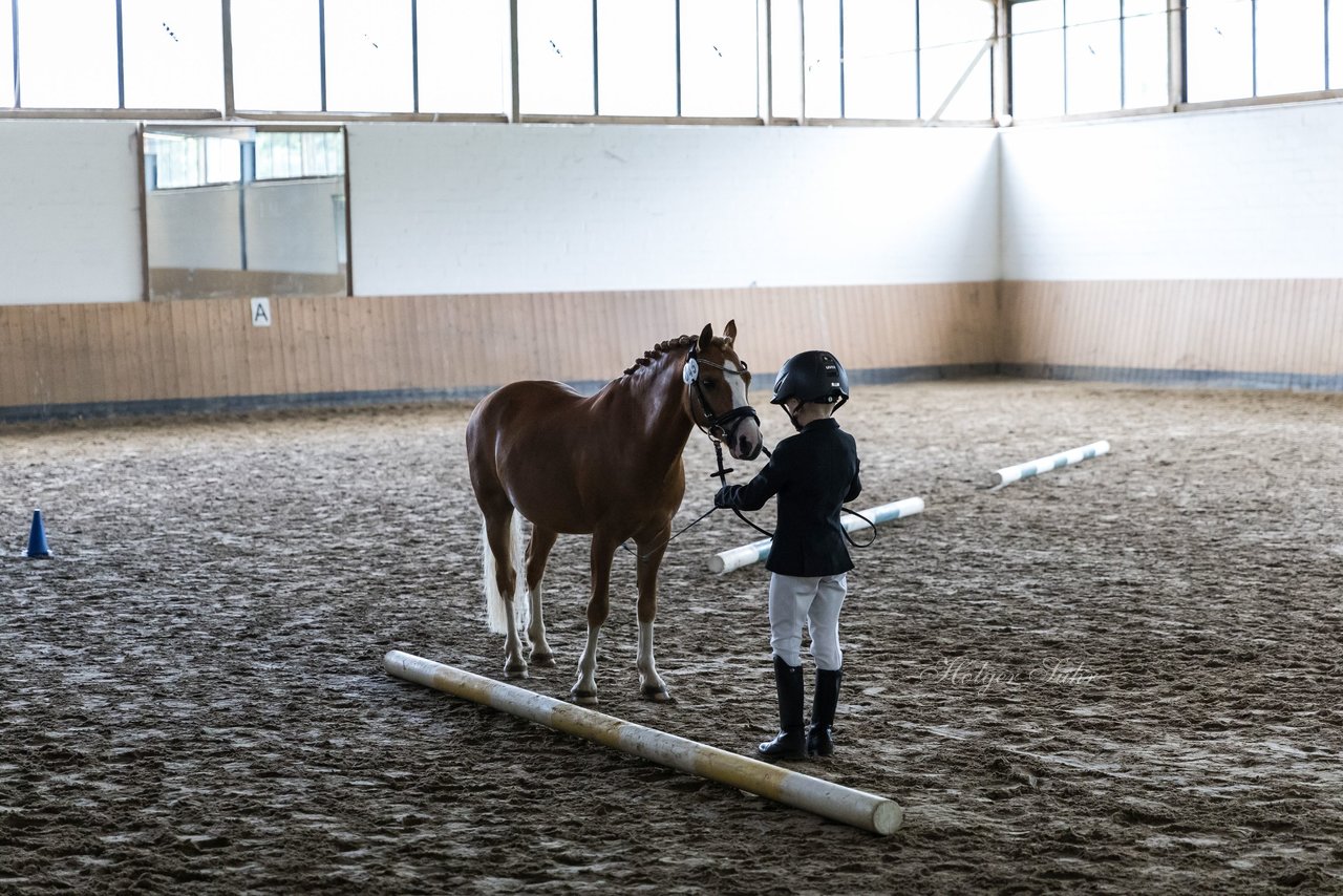 Bild 24 - Pony Akademie Turnier